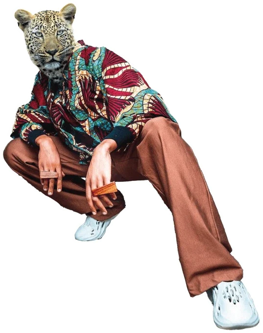 Go wild at the DMA'S